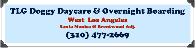 TLG Doggy Daycare & Overnight Boarding 
West  Los Angeles
Santa Monica & Brentwood Adj.
(310) 477-2669